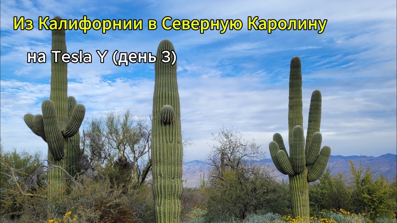Переезд из Калифорнии в Северную Каролину на Tesla Model Y. День 3 — Аризона, Нью-Мексико и Техас