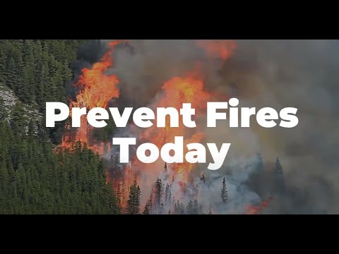 Artificial Intelligence Early Fire Detection - exciMap