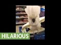 Cockatoo proves to be terrible shopping partner