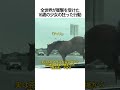 제목高速道路を猛スピードで逆走する馬…大惨事を防いだ16歳少女の行動が凄すぎる…！
