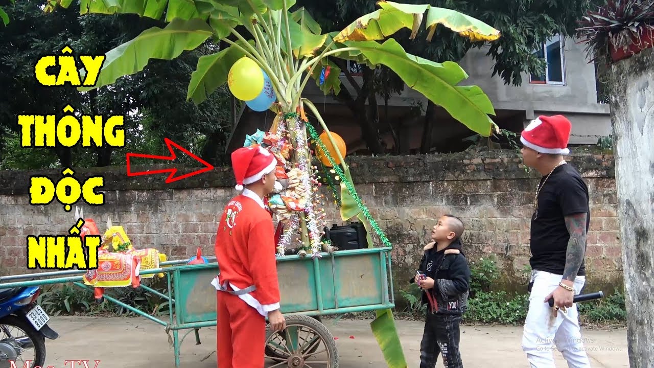 Làm Cây Thông Noen Có Một Không Hai Tại Việt Nam Mừng Giáng Sinh 2019 - Mao Đệ Phát Quà Mỏi Tay