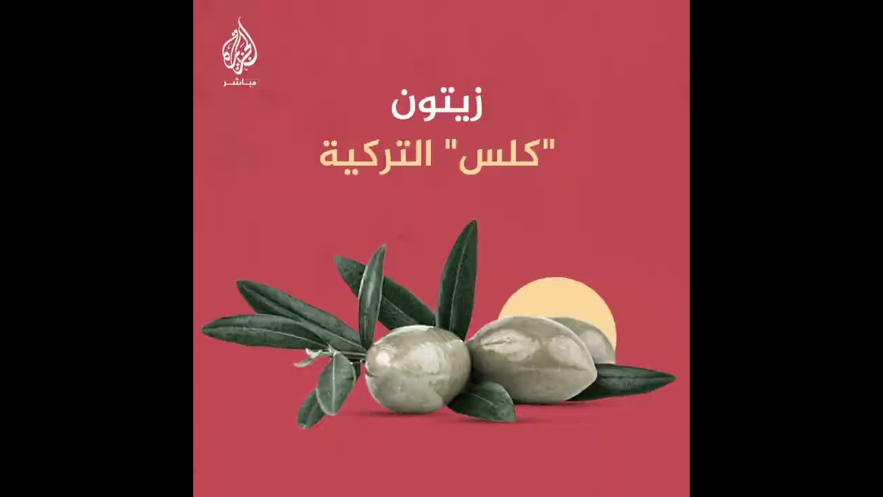 أجود أنواع الزيوت في العالم .. مدن سورية وتركية تدخل المنافسة العالمية في الزيوت