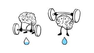 Full What would happen if you didn’t drink water؟   Mia Nacamulli News