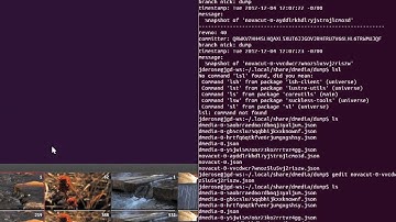 Using dmedia-cli Snapshot