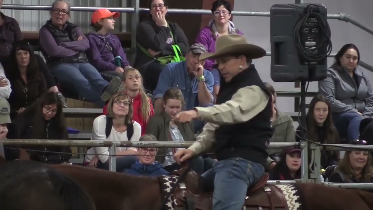 Positive discipline in horse training isn’t about forcing a horse—or letting them get away with