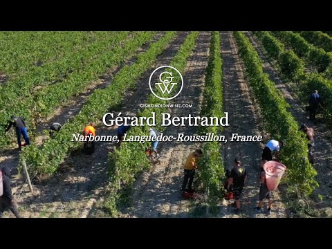 Video: Esplorazione della regione vinicola francese della Linguadoca Rossiglione