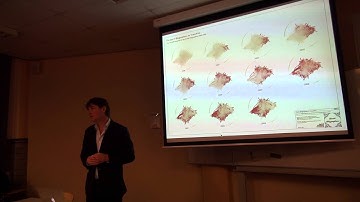 The Website as an Archived Object - part 3