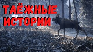 видео: ТАЁЖНЫЕ РАССКАЗЫ | Страшные истории картинка: ТАЁЖНЫЕ РАССКАЗЫ | Страшные истории