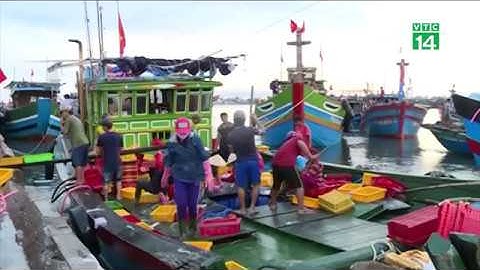 VTC14 | Ô nhiễm nghiêm trọng tại cảng cá Thuận An, Thừa Thiên - Huế