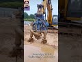 Discover The Hidden Truth Behind The Excavator Water Pump Youtubeyt Youtube Youtubevideo Discover The Hidden Truth Behind The Excavator Water Pump Youtubeyt Youtube Youtubevideo