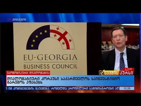 \"ვიშეგრადის ოთხეული\"  საქართველოში