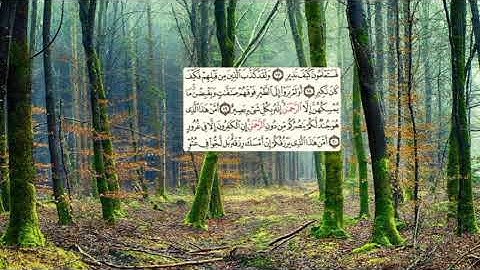 563-page - سعد الغامدي - -سورة الملك - AL-MULK / LA ROYAUTÉ - 67