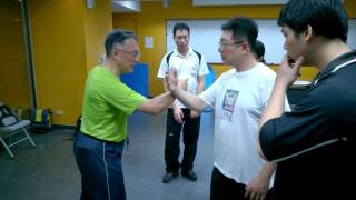 【推敲太極拳】【20161119(07)】筋撐於身如網 全身相連而動