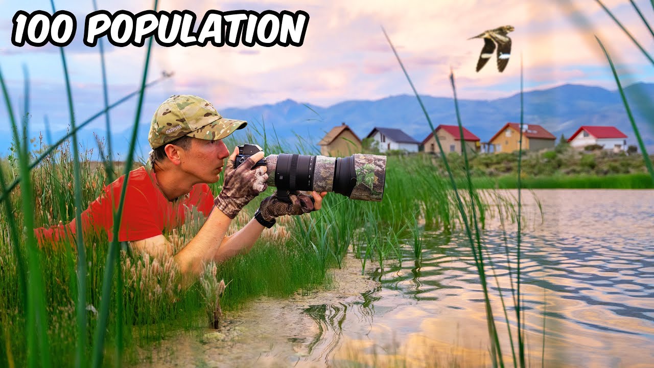 I Visited America’s Birdwatching Village