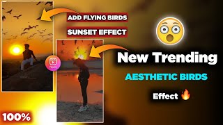 New Birds Effects Reels Tutorial| Viral Aesthetic Effect| Sunset Filter Tutorial| Prince Editz