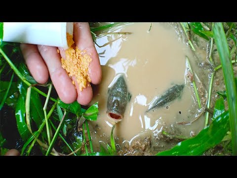 fishing-&-village-food-recipes-|-amazing-fishing-skills-and-grill-fish-recipe-very-easy