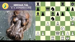 Mikhail Tal e o Hipopótamo no Pântano, a incrível história!