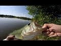 Tadpoles, Crawdads and Some Fish