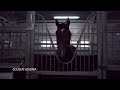 When You Win A Huge Race but You're Not there to See It! | Ahmad bin Harmash