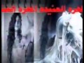 المهره العنيده انا كذا عنيده المهره العنيده انا كذا عنيده