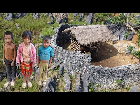Video Bị Lừa Mất Vợ 3 Con Ngày Đêm Mong Mẹ Bên Căn Nhà Đá Cô... - youtube