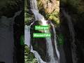 #shorts #Triberger Wasserfälle #germany #blackforest #cascades