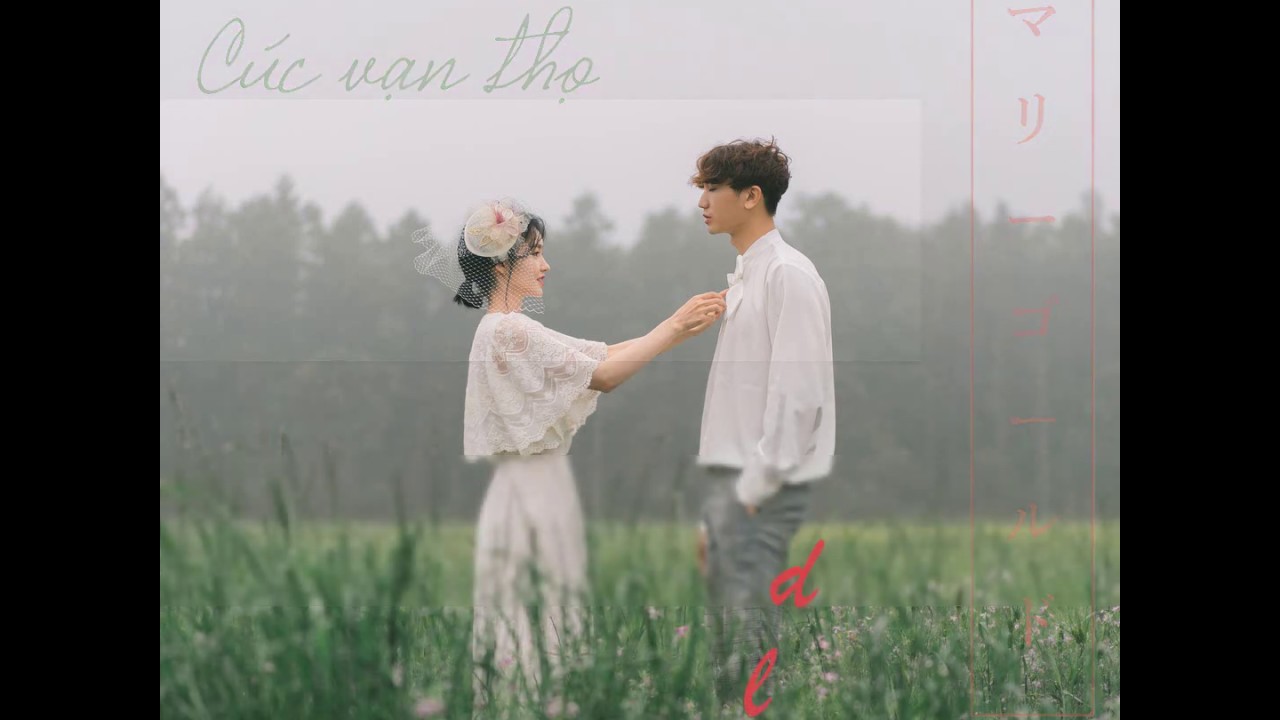 [Vietsub] Cúc vạn thọ | Marigold (マリーゴールド) - AIMYON... - youtube