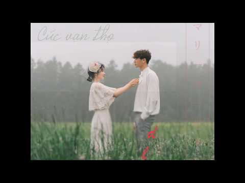 Video [Vietsub] Cúc vạn thọ | Marigold (マリーゴールド) - AIMYON... - youtube