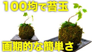 【観葉植物】苔玉をほぼ100均グッズだけで作ってみたら画期的な簡単さだった