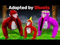 Adopted By GHOSTS In Gorilla Tag... Mp3 Song