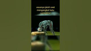 KASUS KEMATIAN PALING MENGERIKAN PART 2😱#shorts #