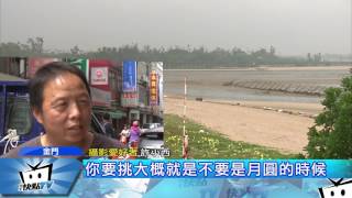 20170519中天新聞　金門也有「藍眼淚」！　沙灘近距離賞世界級美景