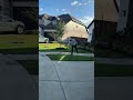 Morning Dew Brush! #lawncare #lawn #grass #yard