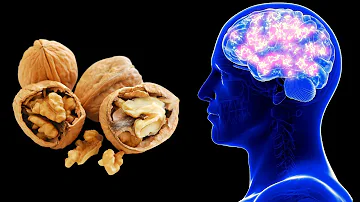 ¿Qué alimentos crean nuevas células cerebrales?