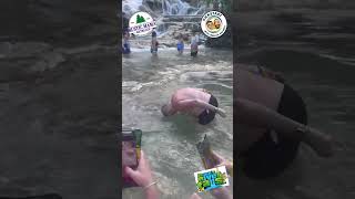 Jean-Luc and Nick - Jamaica 2025 - Dunn’s River Falls