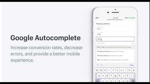 Google auto-complete at shopify checkout