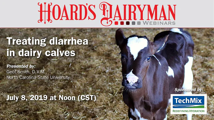 What can you give a calf for energy? (2025)