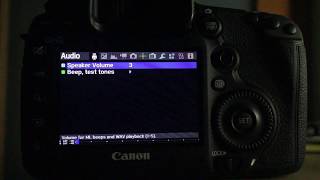 5D3.134 ML startup menu
