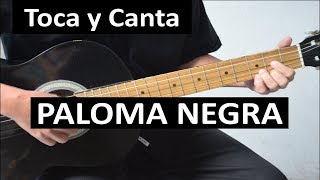 Como tocar PALOMA NEGRA de Vicente Fernández.