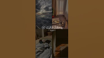القارئ : عبدالرحمن مسعد