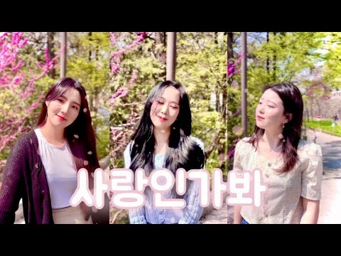 [COVER_HUK!] 💕사랑인가 봐(Love, Maybe) - 김세정(Kim Sejeong) | acoustic ver | 사내맞선OST | 여자 커버