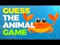 Guess What the Animal is with Zaky - Sea Creatures