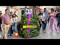 Best scares of bushman prank 2024 in several different cities crazy moments hilarious reactions