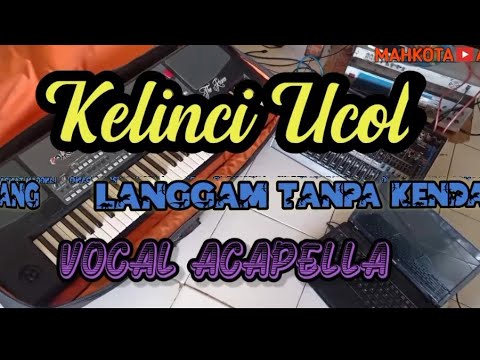 KELINCI UCUL LANGGAM TANPA KENDANG - VOCAL ACAPELLA