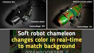 Soft robot chameleon changes color in real-time to match background#robotchameleon#robotics#ECO screenshot 1
