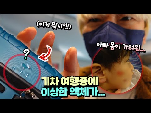 <strong>기차</strong> <strong>여행</strong> 중 무슨일이? 흔한 가족 일상 아이랑 <strong>부산</strong> | 말이야와친구들