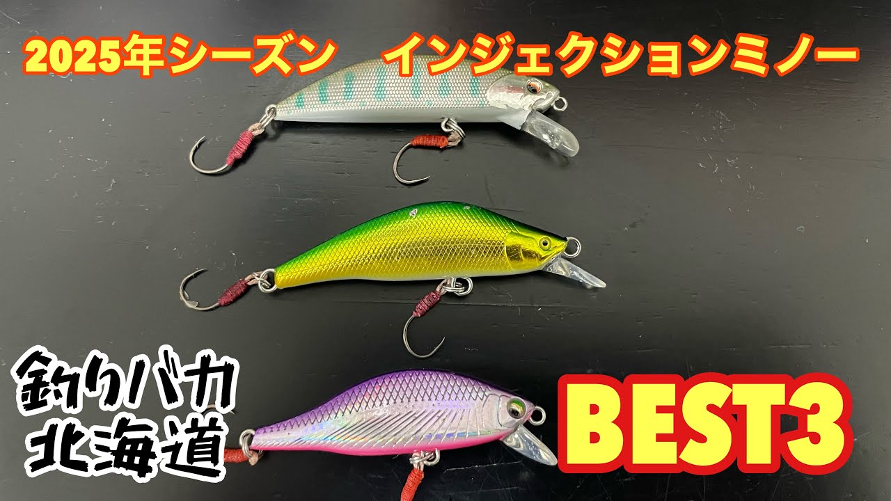 【渓流釣り】2025年シーズン　買ってよかったミノー BEST3【ルアーフィッシング】