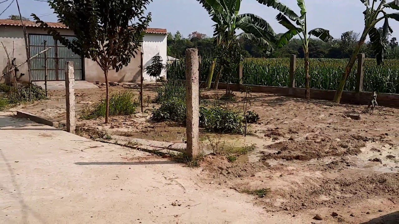 apna-farm-house-youtube