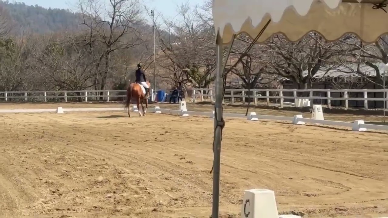 2026/2/14 県大会　石原選手(清凪) 2C