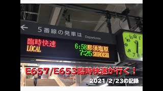 E657系とE653系の臨時快速が相次いで仙台駅を出発！新幹線代走的快速